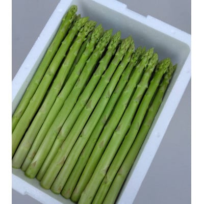 【銀山アスパラガス・2Lサイズ/1KG 】山形県尾花沢市産