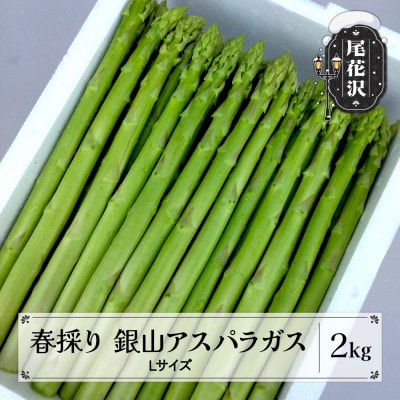 【銀山アスパラガス・Lサイズ/★2kg】山形県尾花沢市産