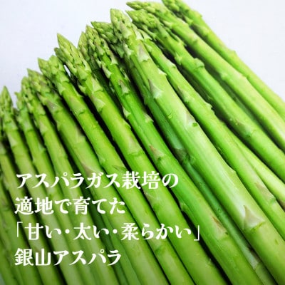 夏採り 銀山アスパラガス Lサイズ 1kg 2025年産 山形県尾花沢市産 nk-vga1n1
