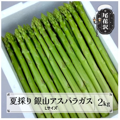 【夏採り!銀山アスパラガス Lサイズ 2kg】山形県尾花沢市産