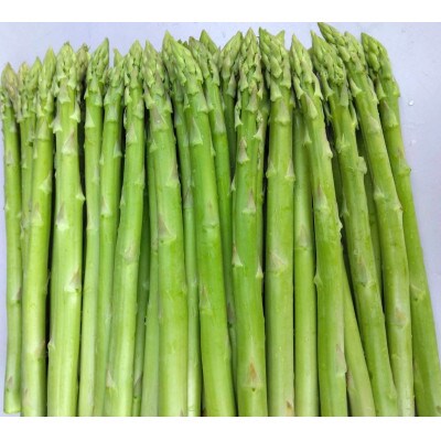 【夏採り!銀山アスパラガス Lサイズ 2kg】山形県尾花沢市産
