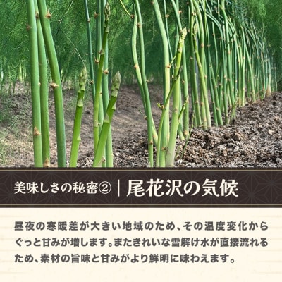 夏採り 銀山アスパラガス Lサイズ 2kg 2025年産 山形県尾花沢市産 nk-vga1n2