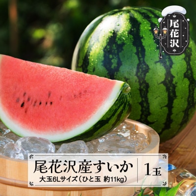 先行受付 尾花沢産すいか 6Lサイズ(約11kg)×1玉 2025年産 nk-su6xx1