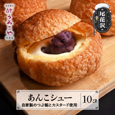 あんこシュー 10個入り シュークリーム うろこや us-swasx10