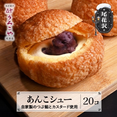 あんこシュー 20個入り シュークリーム うろこや us-swasx20