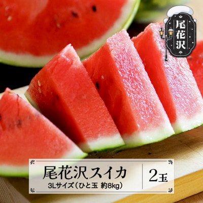 先行予約 尾花沢スイカ 3Lサイズ 約8kg×2玉 2026年産 sb-su3xx2