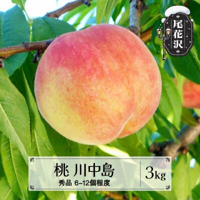 先行予約 桃 川中島白桃 秀品 約3kg 2026年産 sb-moknx3