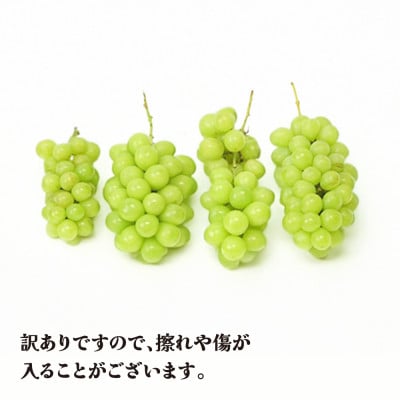 先行予約 訳あり シャインマスカット 約2kg 無印品 2026年産 sb-busmw2000