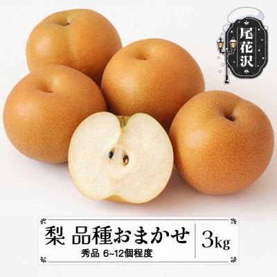 先行予約 和梨 品種おまかせ(幸水または豊水)秀品 3kg 2026年産 山形 sb-nahkx3
