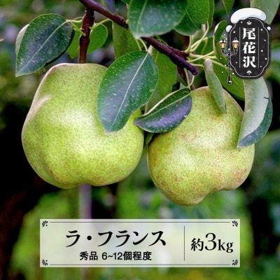 先行予約 ラ・フランス 秀品 約3kg 2026年産 令和8年産 sb-lasyx3