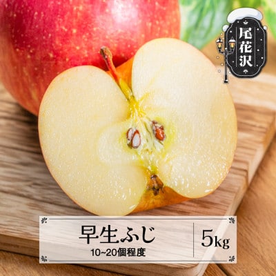 先行予約 りんご 早生ふじりんご 5kg 秀品 2026年産 令和8年産 sb-riwfx5