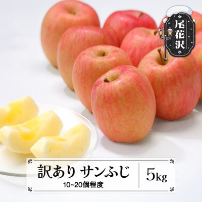 先行予約 訳あり りんご サンふじりんご 5kg 無印品 2026年産 sb-risfw5