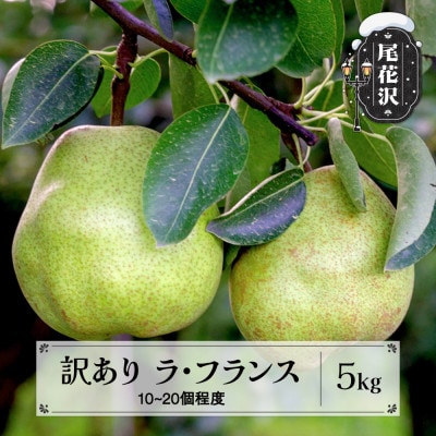 先行予約 訳あり ラ・フランス 約5kg 無印品 2026年産 令和8年産 sb-laxxw5