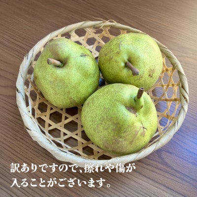 先行予約 訳あり ラ・フランス 約5kg 無印品 2026年産 令和8年産 sb-laxxw5