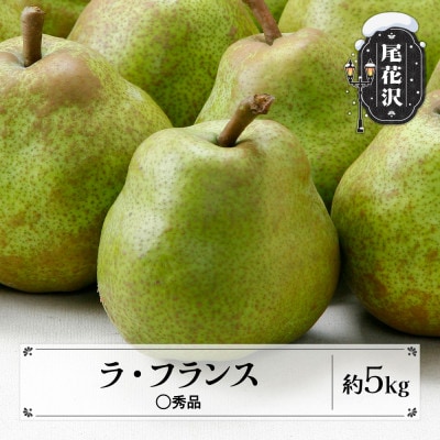 先行予約 ラ・フランス ◯秀品 約5kg 2026年産 sb-lamsx5