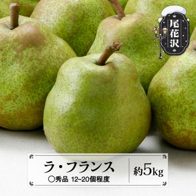 先行予約 ラ・フランス ◯秀品 約5kg 2026年産 sb-lamsx5