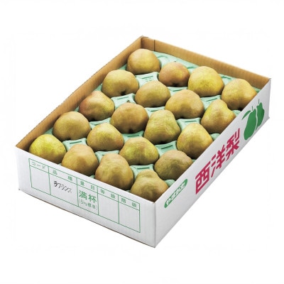 先行予約 ラ・フランス ◯秀品 約5kg 2026年産 sb-lamsx5