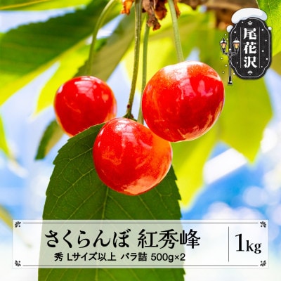 先行予約 さくらんぼ 紅秀峰 1kg(500g×2パック)Lサイズ以上 秀品  バラ詰 2026年産