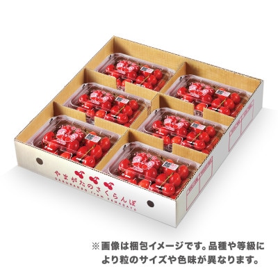先行予約 さくらんぼ 紅秀峰 1080g(180g×6パック)Lサイズ以上 秀品 2026年産
