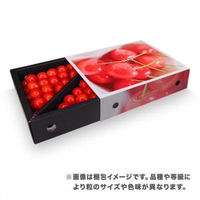 先行予約 さくらんぼ 佐藤錦 500g Lサイズ 秀品 山形県産 バラ詰 スリーブ箱 2026年産