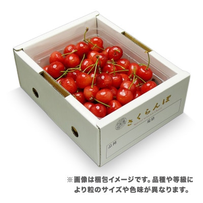 先行予約 さくらんぼ 佐藤錦 500g 2L・L混合サイズ 秀品 山形県産 バラ詰 2026年産