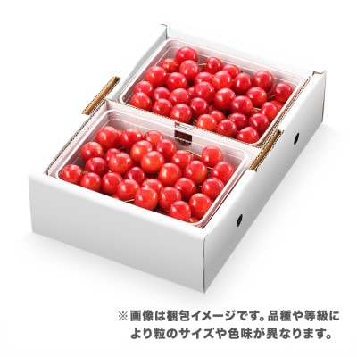 先行予約 さくらんぼ 佐藤錦 1kg(500g×2P)Lサイズ 秀品 山形県産 バラ詰 2026年産
