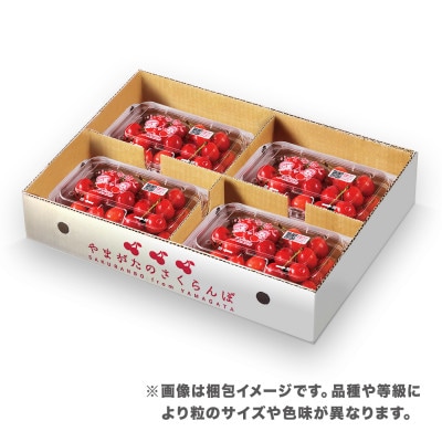 先行予約 さくらんぼ 佐藤錦 720g(180g×4パック) Lサイズ 秀品 山形県産 2026年産