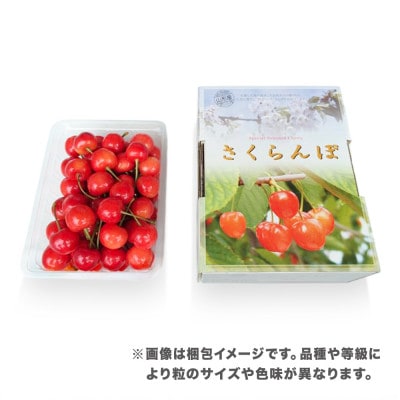 先行予約 さくらんぼ 佐藤錦 500g 2Lサイズ 秀品 山形県産 バラ詰 2026年産