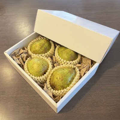 先行予約 ラ・フランス 秀品 約1kg 2026年産 令和8年産 sb-lasyx1