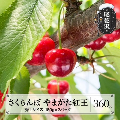 先行予約 さくらんぼ やまがた紅王 360g(180g×2パック) Lサイズ 秀品 2026年産