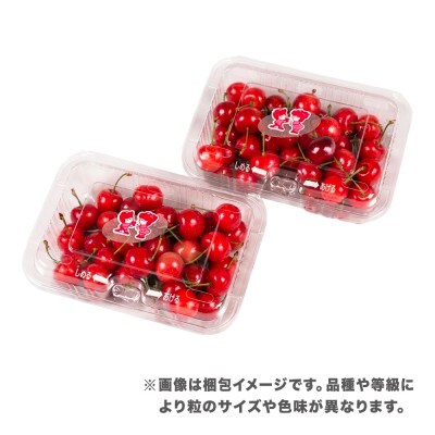 先行予約 さくらんぼ やまがた紅王 360g(180g×2パック) Lサイズ 秀品 2026年産