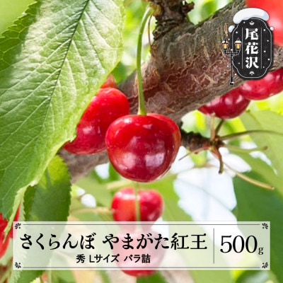 先行予約 さくらんぼ やまがた紅王 500g Lサイズ 秀品 2026年産 山形県産