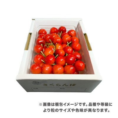 先行予約 さくらんぼ やまがた紅王 500g Lサイズ 秀品 2026年産 山形県産