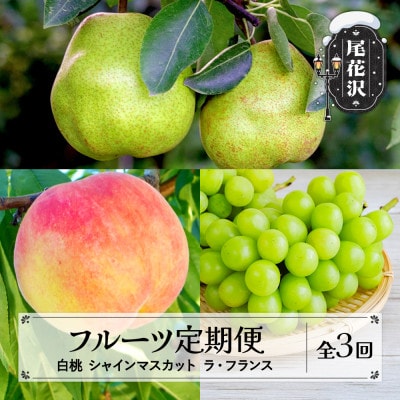 【発送月固定定期便】2026年産 山形 フルーツ定期便 白桃 シャインマスカット ラ・フランス全3回