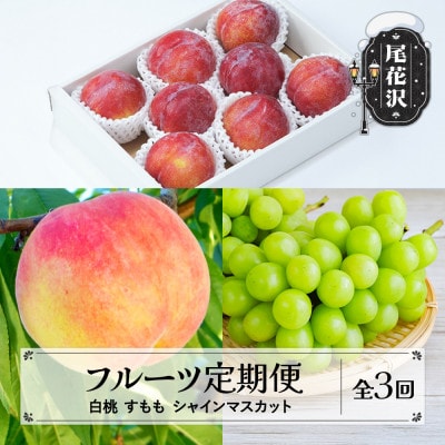 【発送月固定定期便】2026年産 山形 フルーツ定期便 白桃 すもも シャインマスカット全3回