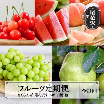【発送月固定定期便】山形フルーツ定期便　さくらんぼ・スイカ・白桃など全5回