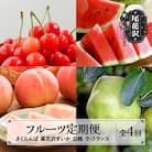 【発送月固定定期便】山形 フルーツ定期便  さくらんぼ スイカ 白桃 ラフランス全4回