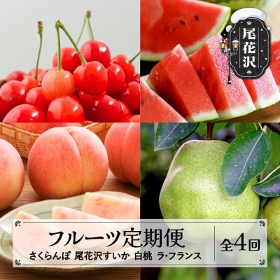 【発送月固定定期便】山形 フルーツ定期便  さくらんぼ スイカ 白桃 ラフランス全4回