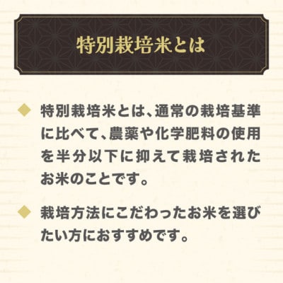 新米 つや姫 精米 2kg 令和8年産 on-tsxxb2