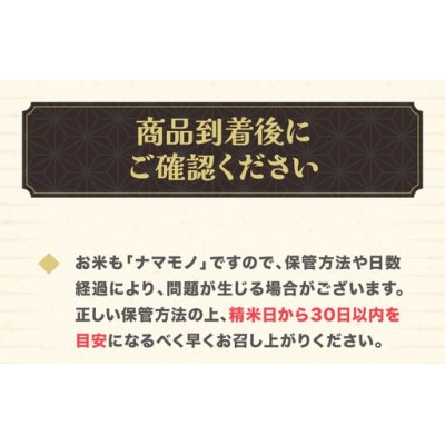 新米 つや姫 玄米 2kg 令和8年産 on-tsgxb2