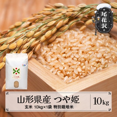 新米 つや姫 玄米 10kg 令和8年産 on-tsgxb10