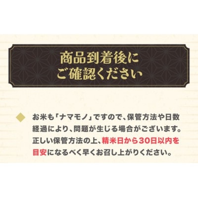 新米 つや姫 玄米 20kg 令和8年産 on-tsgxb20