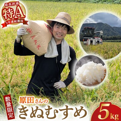 【在庫限定】令和7年産米 原田さんのきぬむすめ 5kg (原田農園)数量限定 15G021