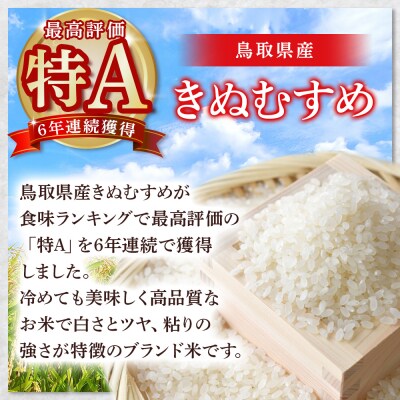 【在庫限定】令和7年産米 原田さんのきぬむすめ 10kg (原田農園)数量限定 30G009