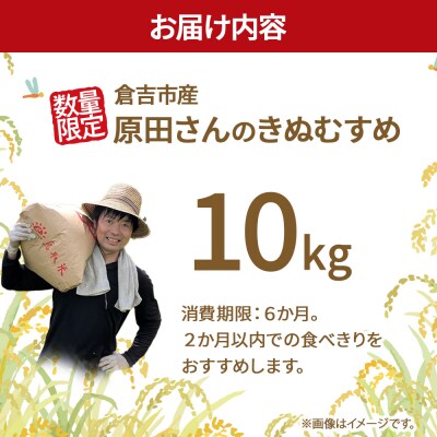 【在庫限定】令和7年産米 原田さんのきぬむすめ 10kg (原田農園)数量限定 30G009