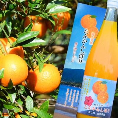 ≪NEW 2026年もぎたて!≫徳之島の直島農園さんのたんかんしぼり(720ml×2本)