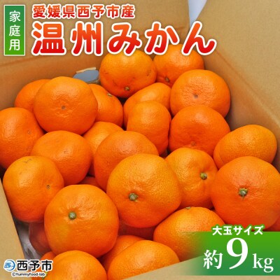 【先行受付】<愛媛県西予市産 温州みかん 大玉サイズ 家庭用 約9kg> 愛媛県産 西宇和 大玉