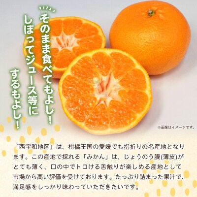 【先行受付】<愛媛県西予市産 温州みかん 大玉サイズ 家庭用 約9kg> 愛媛県産 西宇和 大玉