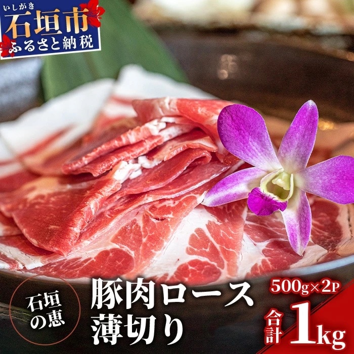【産地直送】石垣の恵 アグー豚 豚肉ロース薄切り 500g×2パック【合計1kg】