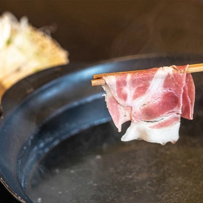 【産地直送】石垣の恵 アグー豚 豚肉ロース薄切り 500g×2パック【合計1kg】